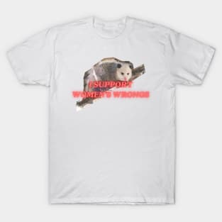 I support womens wrongs T-Shirt